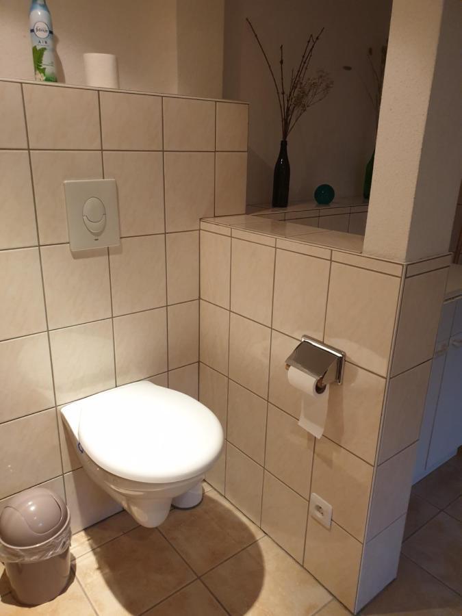 Appartement Proche D'Europa Park/Marches De Noel Rhinau Buitenkant foto